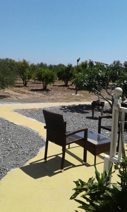 Mersinera Paradise Garden Stars House Larnaca Exterior photo