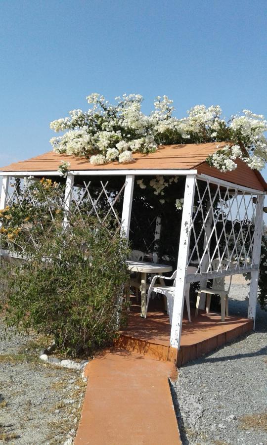 Mersinera Paradise Garden Stars House Larnaca Exterior photo